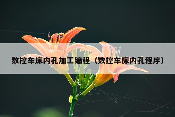 数控车床内孔加工编程（数控车床内孔程序）