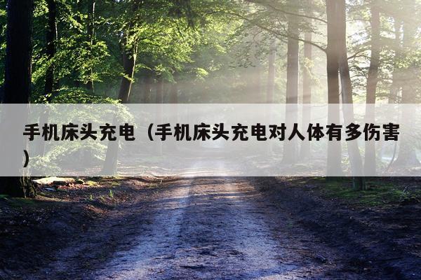 手机床头充电（手机床头充电对人体有多伤害）