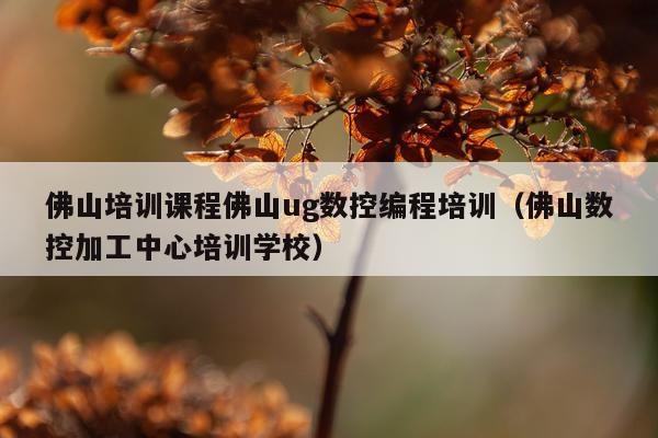 佛山培训课程佛山ug数控编程培训（佛山数控加工中心培训学校）