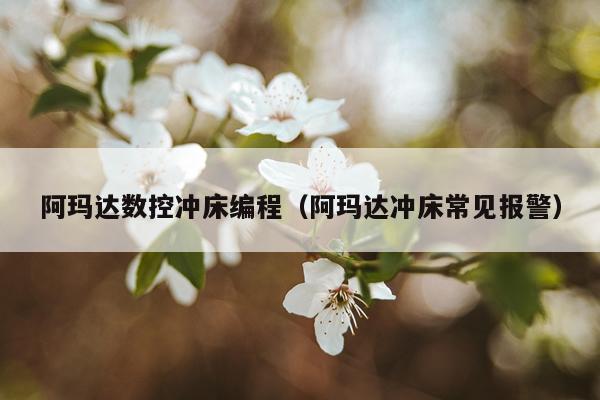 阿玛达数控冲床编程(阿玛达冲床常见报警)