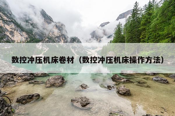 数控冲压机床卷材(数控冲压机床操作方法)