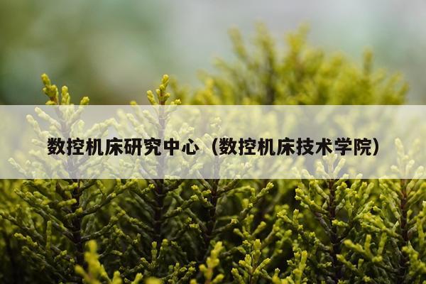 数控机床研究中心(数控机床技术学院)