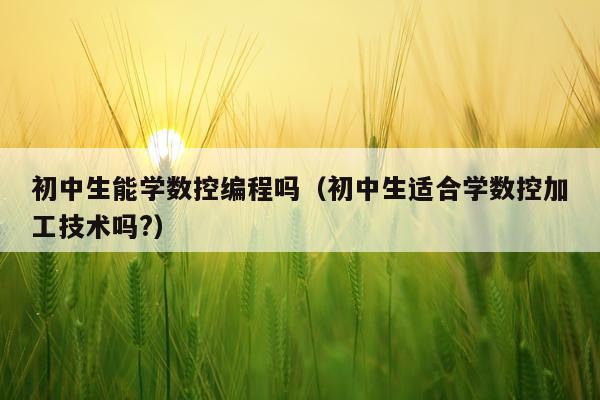 初中生能学数控编程吗（初中生适合学数控加工技术吗?）