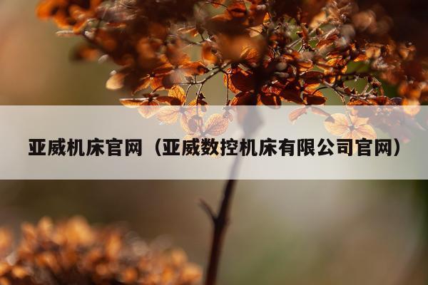 亚威机床官网（亚威数控机床有限公司官网）
