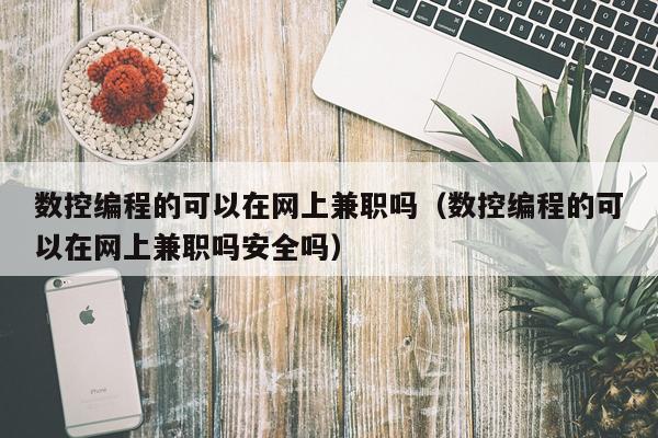 数控编程的可以在网上兼职吗（数控编程的可以在网上兼职吗安全吗）