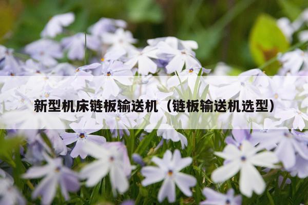 新型机床链板输送机（链板输送机选型）