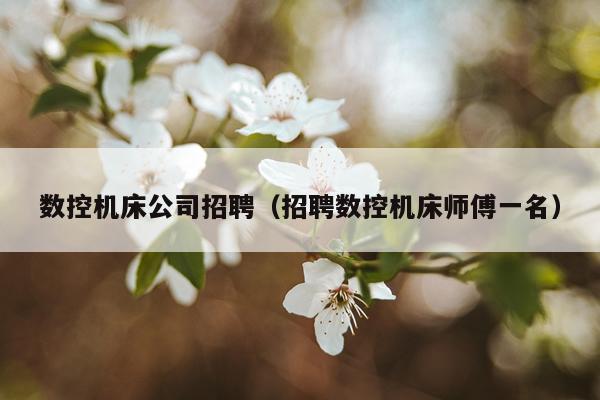 数控机床公司招聘（招聘数控机床师傅一名）