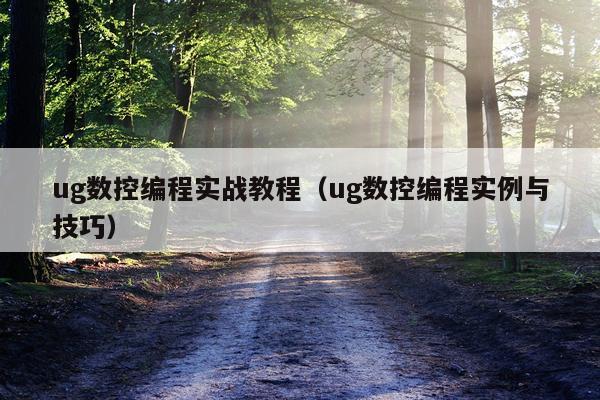 ug数控编程实战教程(ug数控编程实例与技巧)