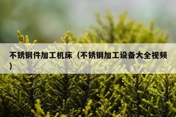 不锈钢件加工机床（不锈钢加工设备大全视频）
