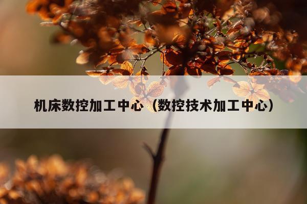 机床数控加工中心（数控技术加工中心）