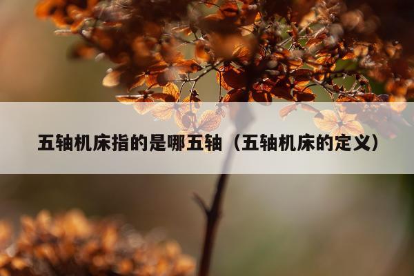 五轴机床指的是哪五轴（五轴机床的定义）