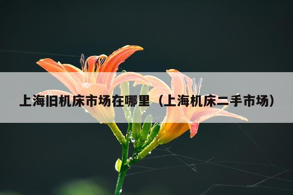 上海旧机床市场在哪里（上海机床二手市场）