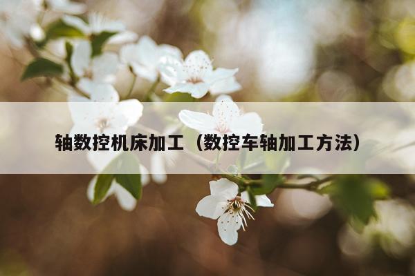 轴数控机床加工(数控车轴加工方法)