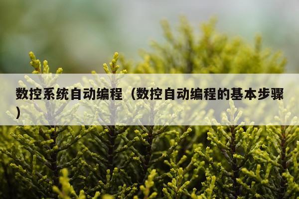 数控系统自动编程（数控自动编程的基本步骤）