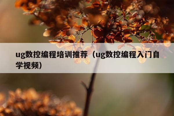 ug数控编程培训推荐（ug数控编程入门自学视频）