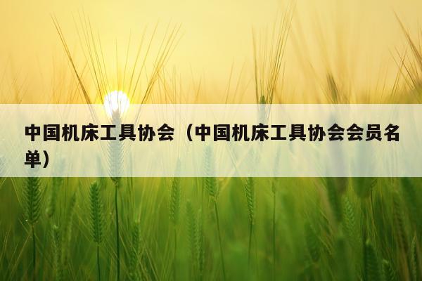 中国机床工具协会（中国机床工具协会会员名单）