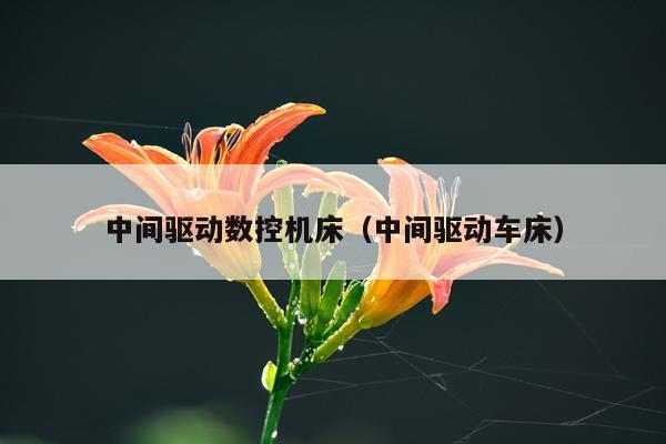 中间驱动数控机床（中间驱动车床）
