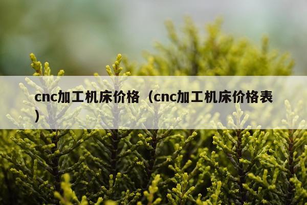 cnc加工机床价格（cnc加工机床价格表）