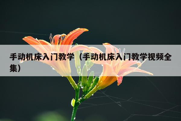 手动机床入门教学（手动机床入门教学视频全集）