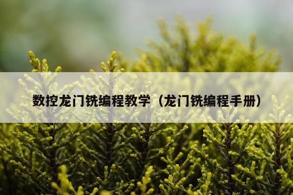 数控龙门铣编程教学（龙门铣编程手册）