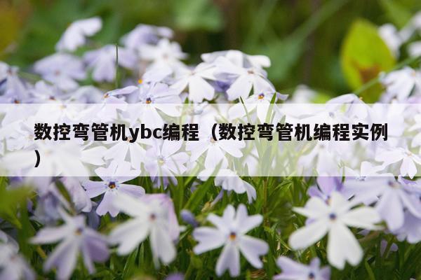 数控弯管机ybc编程（数控弯管机编程实例）
