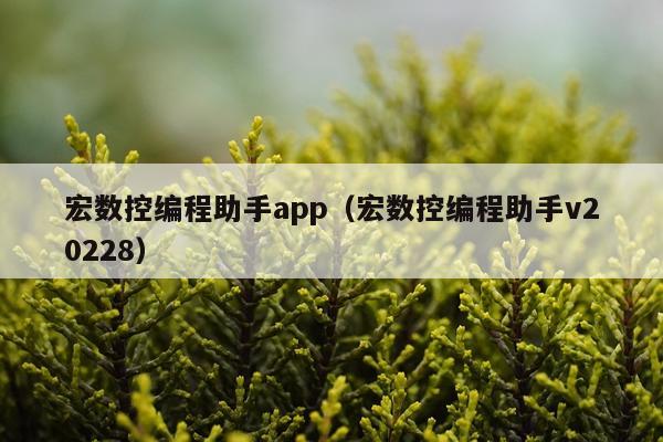 宏数控编程助手app（宏数控编程助手v20228）