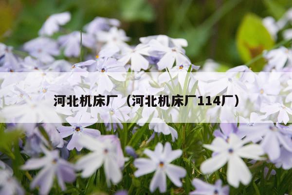 河北机床厂(河北机床厂114厂)