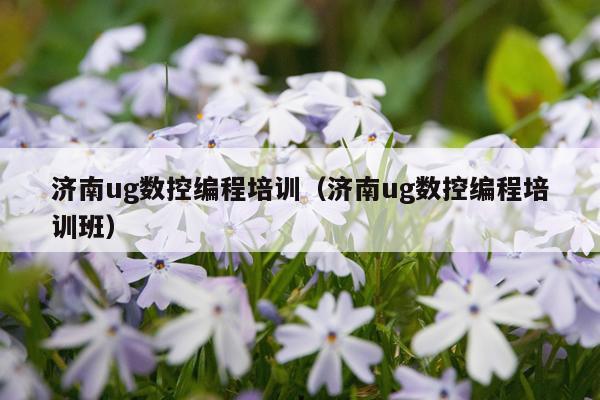 济南ug数控编程培训（济南ug数控编程培训班）