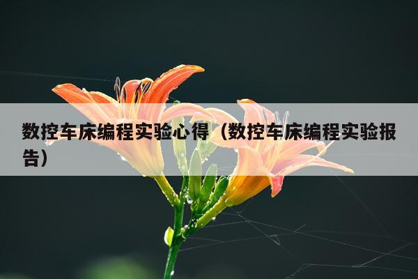 数控车床编程实验心得（数控车床编程实验报告）
