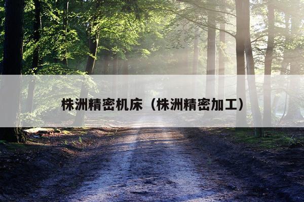 株洲精密机床（株洲精密加工）