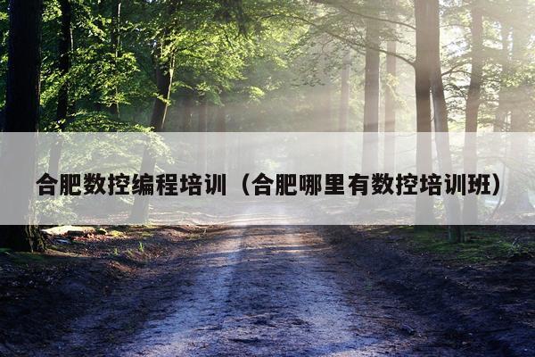 合肥数控编程培训（合肥哪里有数控培训班）