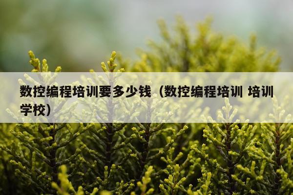 数控编程培训要多少钱（数控编程培训 培训学校）