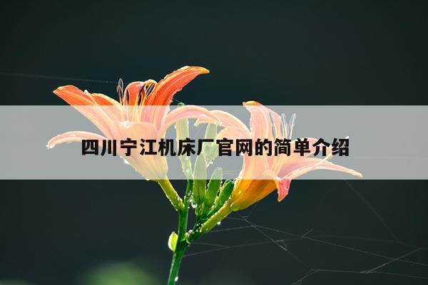 四川宁江机床厂官网的简单介绍