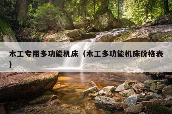 木工专用多功能机床（木工多功能机床价格表）