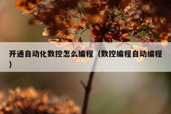 开通自动化数控怎么编程（数控编程自动编程）