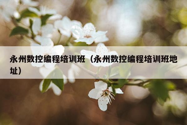永州数控编程培训班（永州数控编程培训班地址）