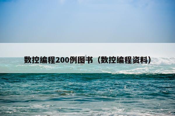 数控编程200例图书（数控编程资料）