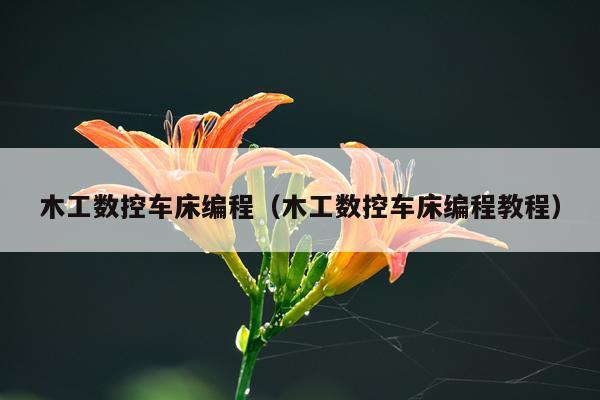 木工数控车床编程（木工数控车床编程教程）