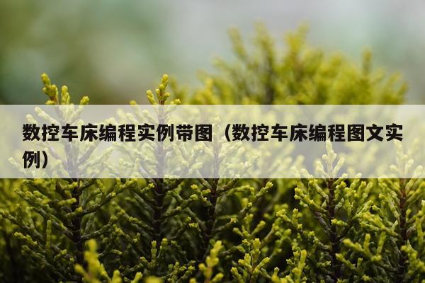 数控车床编程实例带图（数控车床编程图文实例）