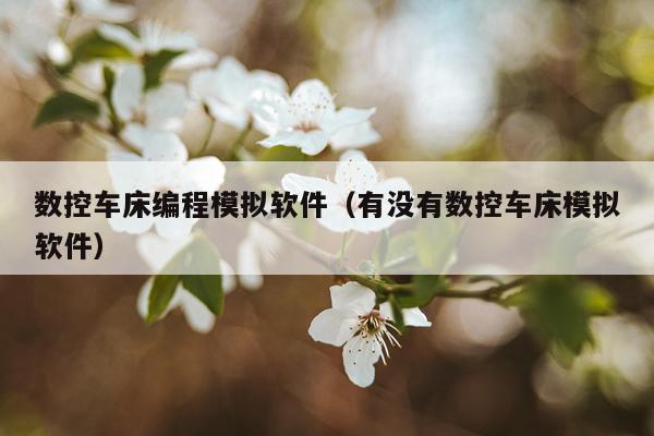 数控车床编程模拟软件（有没有数控车床模拟软件）