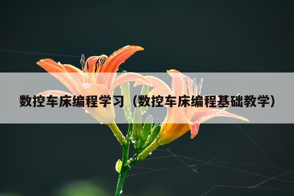 数控车床编程学习（数控车床编程基础教学）