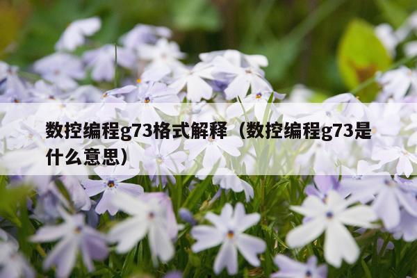 数控编程g73格式解释（数控编程g73是什么意思）