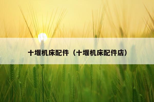 十堰机床配件（十堰机床配件店）