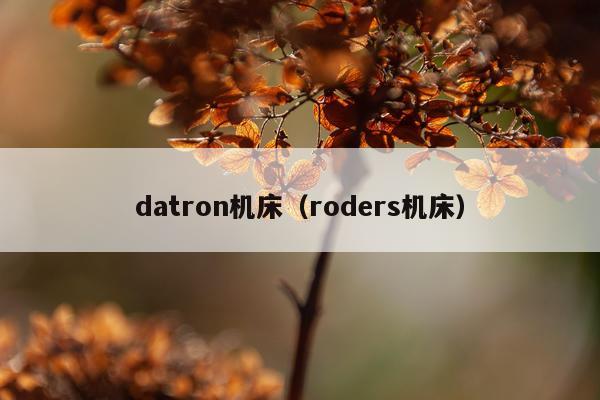 datron机床（roders机床）
