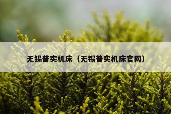 无锡普实机床（无锡普实机床官网）
