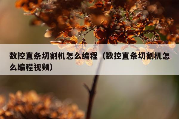 数控直条切割机怎么编程（数控直条切割机怎么编程视频）