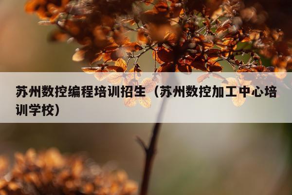 苏州数控编程培训招生（苏州数控加工中心培训学校）