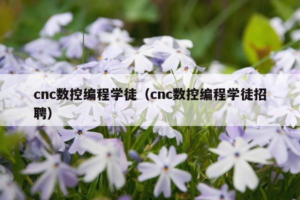 cnc数控编程学徒(cnc数控编程学徒招聘)