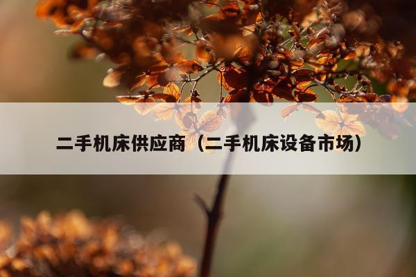 二手机床供应商（二手机床设备市场）