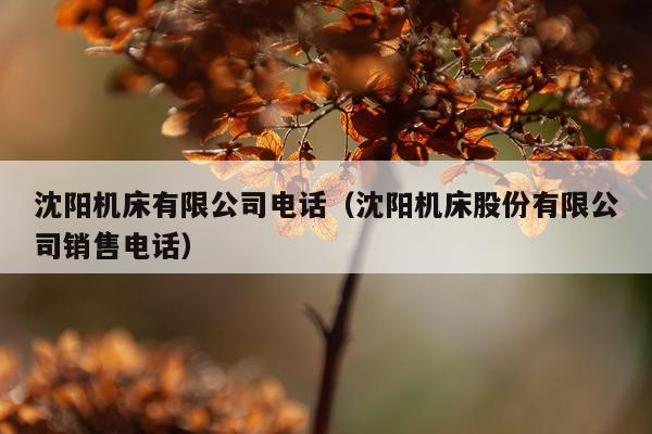 沈阳机床有限公司电话（沈阳机床股份有限公司销售电话）